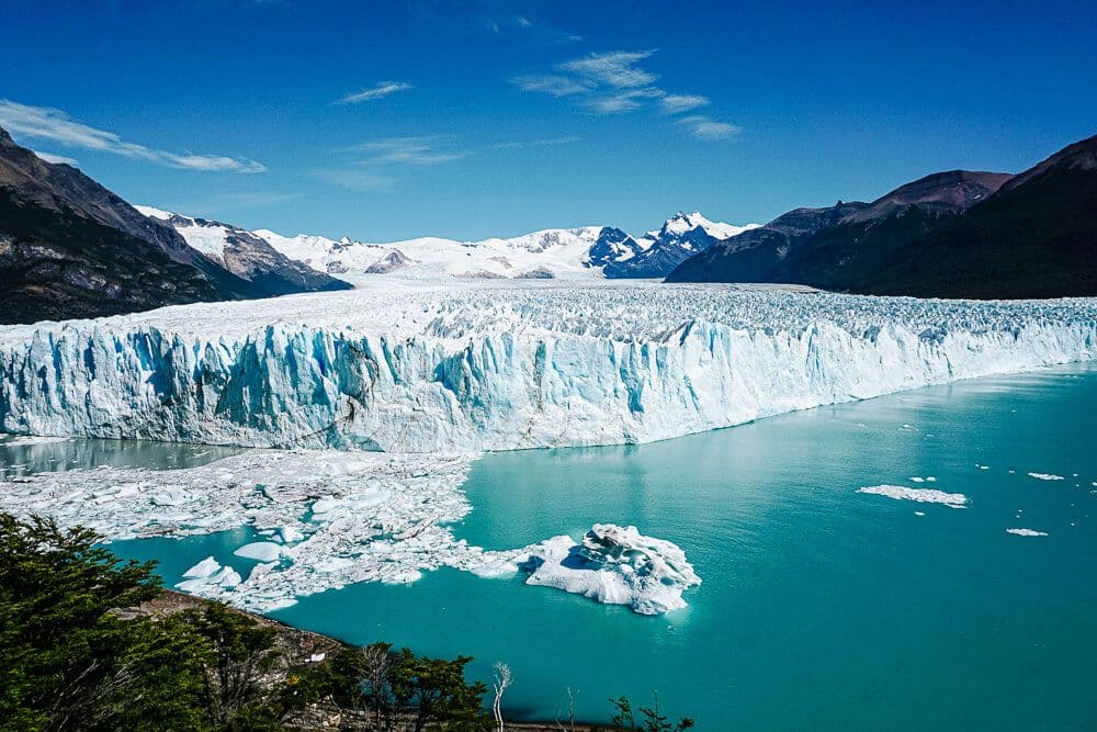 CALAFATE — GLACIARES DEL FIN DEL MUNDO - 1