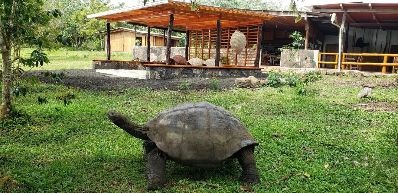 Parte alta de la Isla: Túneles de Lava, Rancho Privado, Cráteres gemelos
