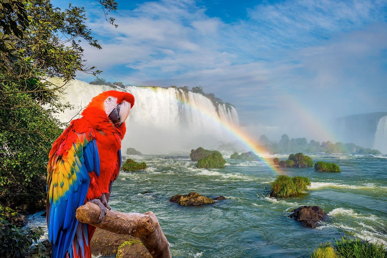 ENTRE FRONTERAS & IGUAZÚ - 1