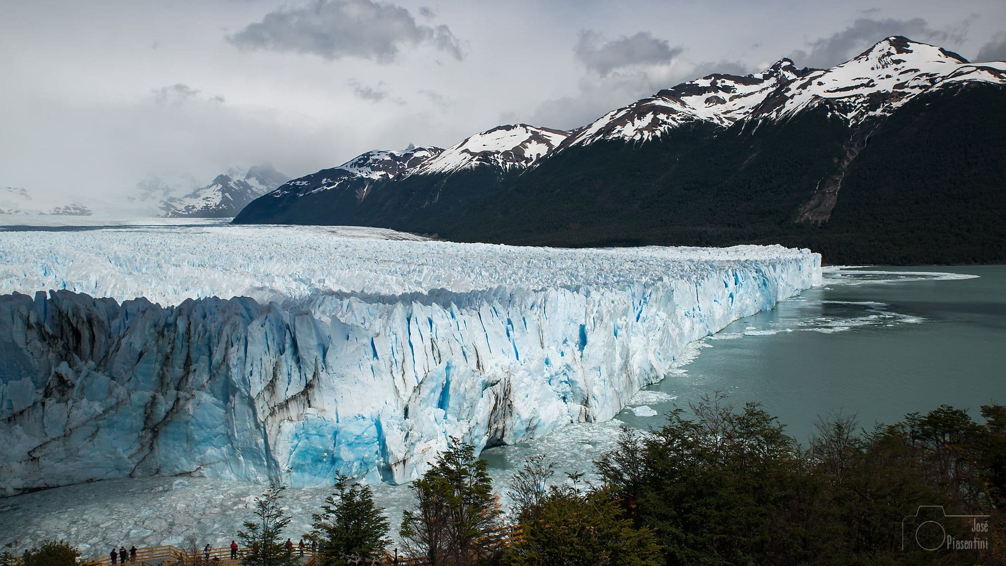 CALAFATE — GLACIARES DEL FIN DEL MUNDO - 2
