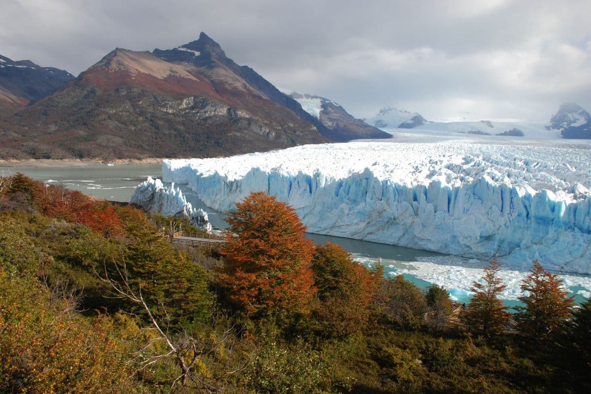 BUENOS AIRES & CALAFATE - 4
