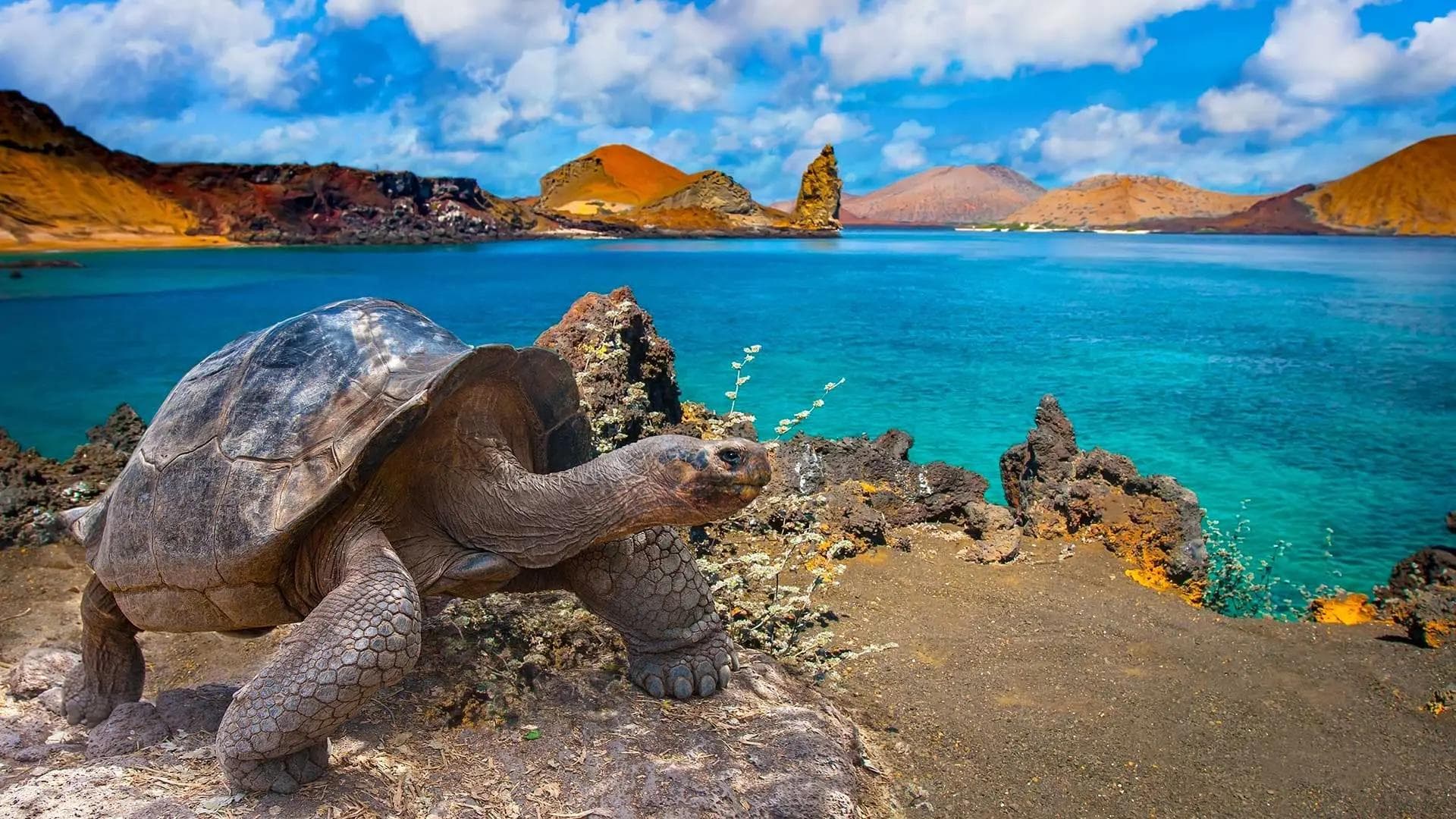 GALÁPAGOS 360