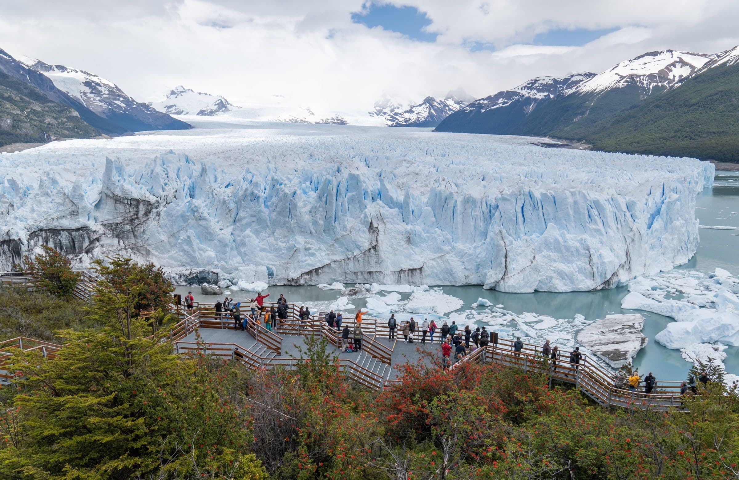 CALAFATE — GLACIARES DEL FIN DEL MUNDO - 4