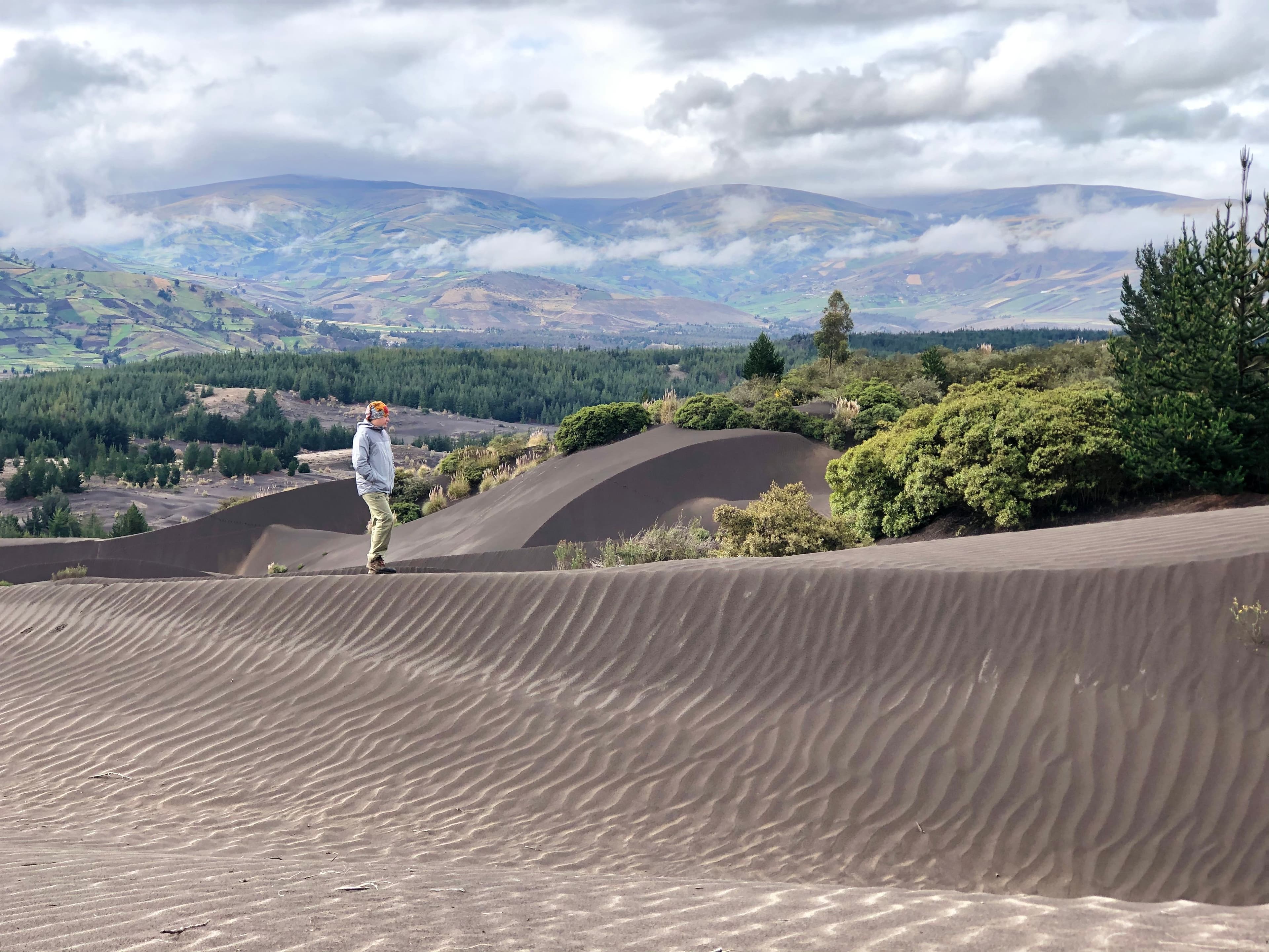 Visita Desierto de Palmira