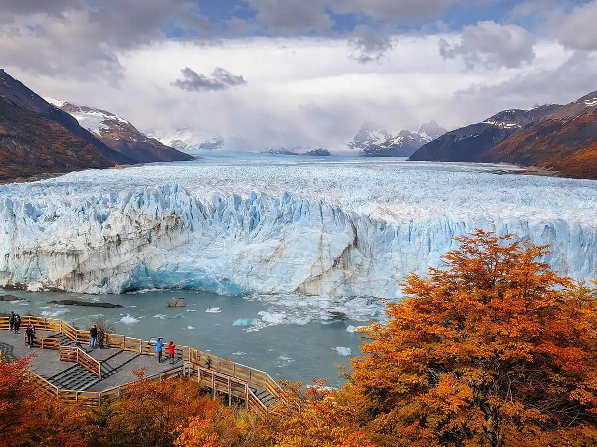 CALAFATE — GLACIARES DEL FIN DEL MUNDO - 5