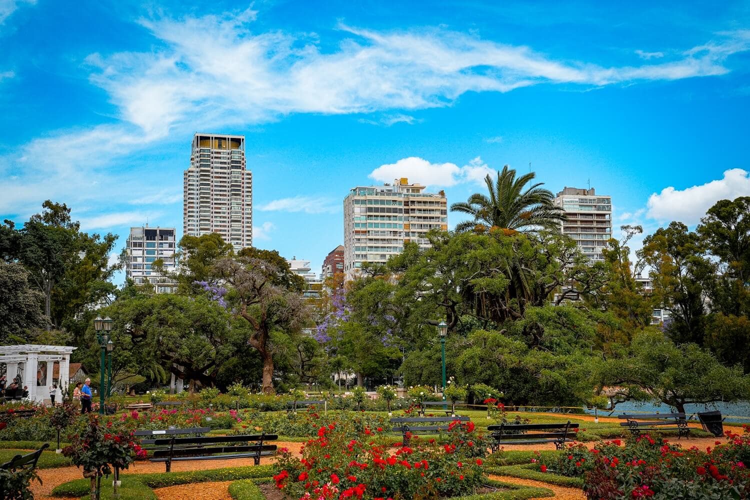 BUENOS AIRES & CALAFATE - 3